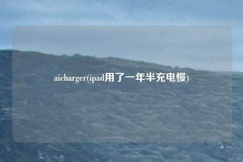 aicharger(ipad用了一年半充电慢)