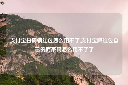 支付宝扫码领红包怎么用不了,支付宝赚红包自己的商家码怎么用不了了