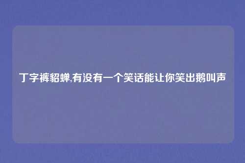 丁字裤貂蝉,有没有一个笑话能让你笑出鹅叫声