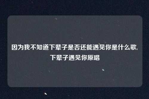 因为我不知道下辈子是否还能遇见你是什么歌,下辈子遇见你原唱