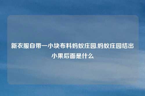 新衣服自带一小块布料蚂蚁庄园,蚂蚁庄园结出小果后面是什么