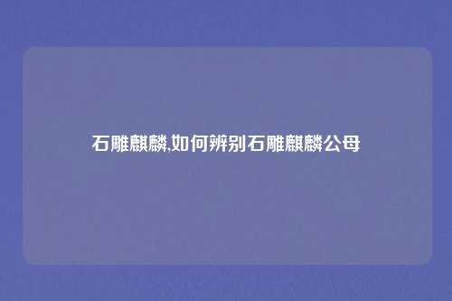 石雕麒麟,如何辨别石雕麒麟公母