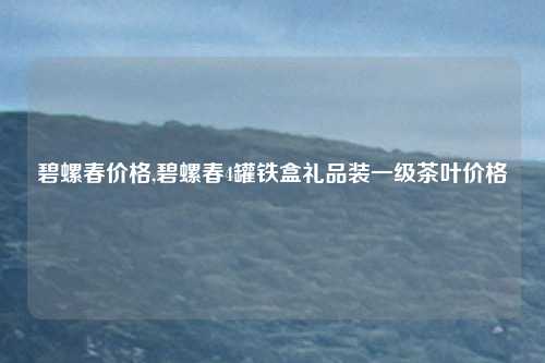 碧螺春价格,碧螺春4罐铁盒礼品装一级茶叶价格