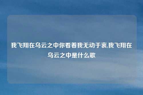 我飞翔在乌云之中你看着我无动于衷,我飞翔在乌云之中是什么歌