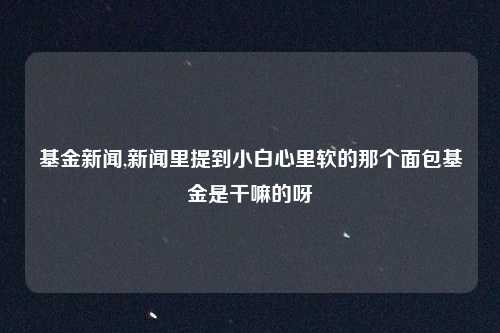 基金新闻,新闻里提到小白心里软的那个面包基金是干嘛的呀