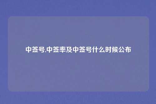 中签号,中签率及中签号什么时候公布