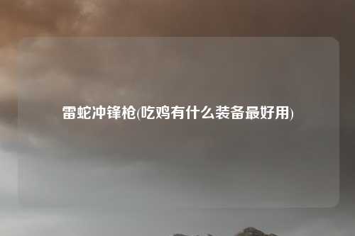 雷蛇冲锋枪(吃鸡有什么装备最好用)