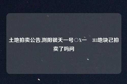 土地拍卖公告,浏阳银天一号○X一〇3l3地块己拍卖了吗问