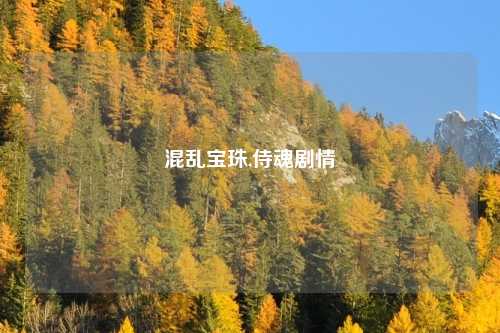 混乱宝珠,侍魂剧情