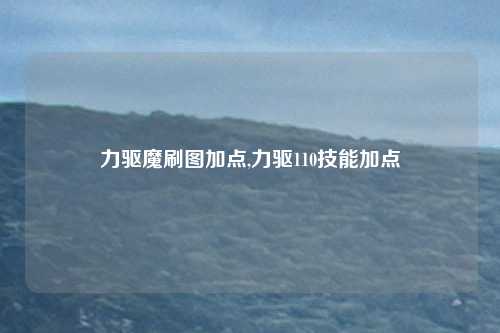 力驱魔刷图加点,力驱110技能加点
