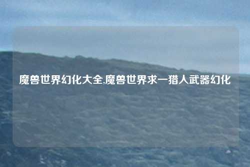 魔兽世界幻化大全,魔兽世界求一猎人武器幻化