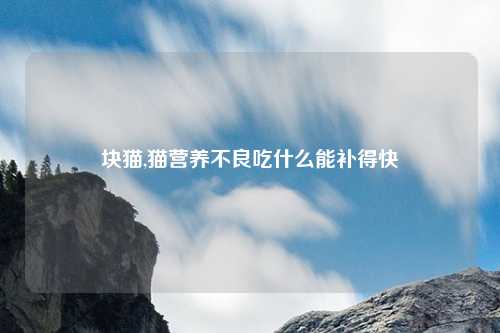 块猫,猫营养不良吃什么能补得快