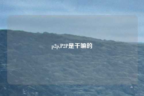 p2p,P2P是干嘛的