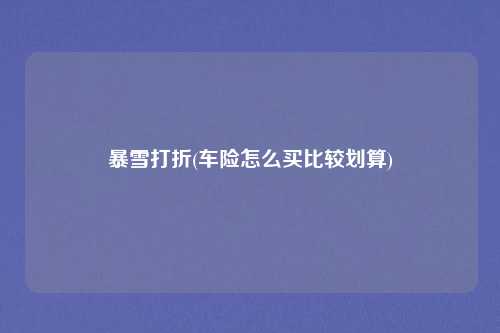 暴雪打折(车险怎么买比较划算)