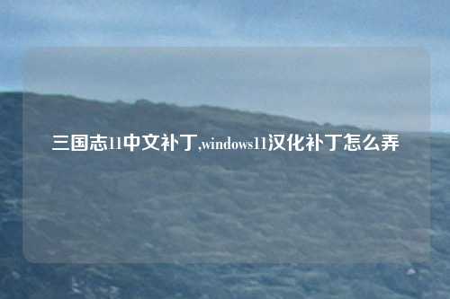 三国志11中文补丁,windows11汉化补丁怎么弄