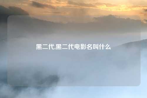 黑二代,黑二代电影名叫什么