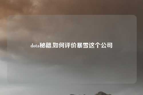 dota秘籍,如何评价暴雪这个公司