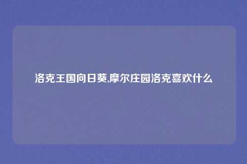 洛克王国向日葵,摩尔庄园洛克喜欢什么