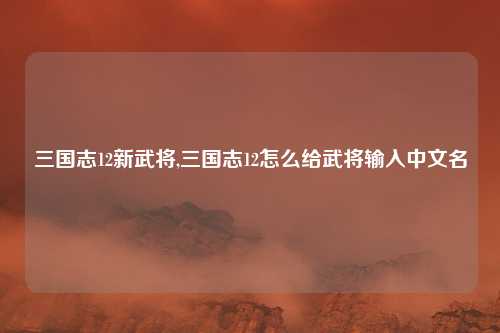三国志12新武将,三国志12怎么给武将输入中文名