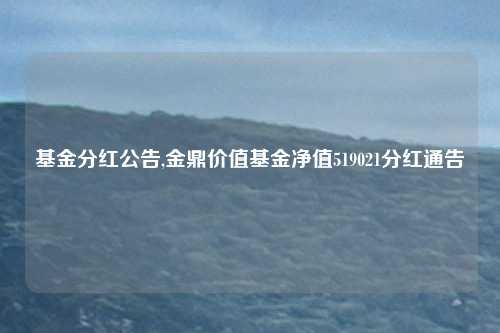 基金分红公告,金鼎价值基金净值519021分红通告