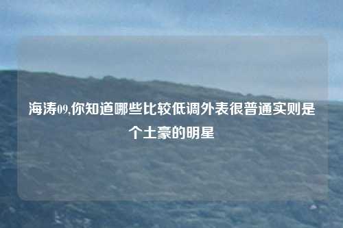 海涛09,你知道哪些比较低调外表很普通实则是个土豪的明星