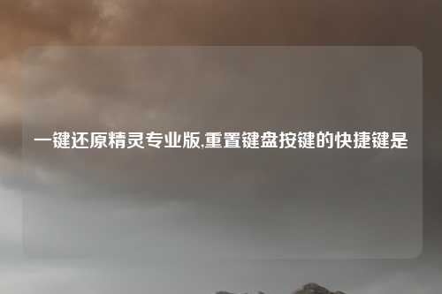 一键还原精灵专业版,重置键盘按键的快捷键是