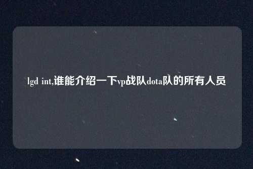 lgd int,谁能介绍一下vp战队dota队的所有人员