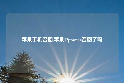 苹果手机召回,苹果12promax召回了吗