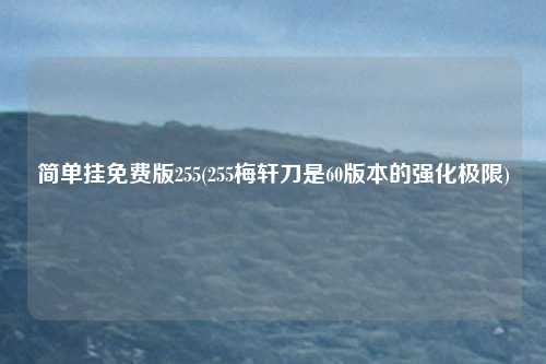 简单挂免费版255(255梅轩刀是60版本的强化极限)