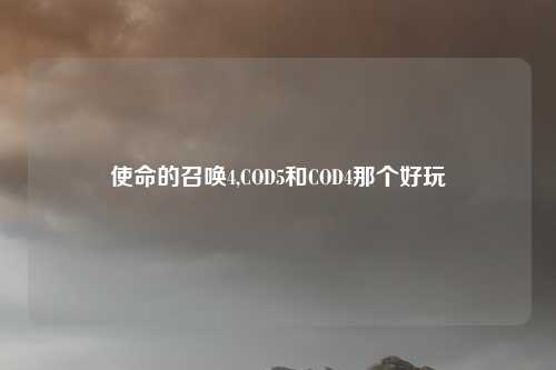 使命的召唤4,COD5和COD4那个好玩