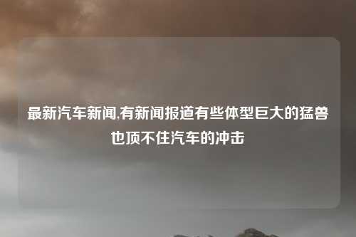 最新汽车新闻,有新闻报道有些体型巨大的猛兽也顶不住汽车的冲击