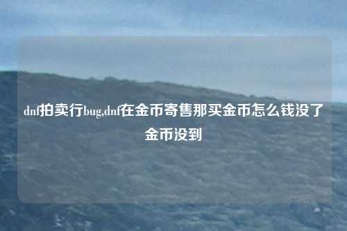 dnf拍卖行bug,dnf在金币寄售那买金币怎么钱没了金币没到