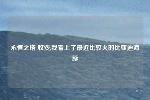 永恒之塔 收费,我看上了最近比较火的比亚迪海豚