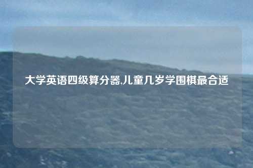 大学英语四级算分器,儿童几岁学围棋最合适