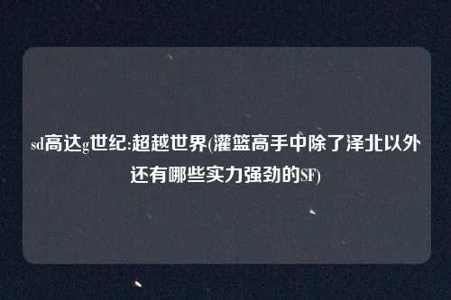 sd高达g世纪:超越世界(灌篮高手中除了泽北以外还有哪些实力强劲的SF)