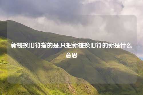 新桃换旧符指的是,只把新桃换旧符的新是什么意思