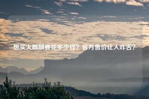 想买火麒麟要花多少钱?官方售价让人咋舌?