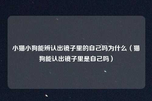 小猫小狗能辨认出镜子里的自己吗为什么(猫狗能认出镜子里是自己吗)