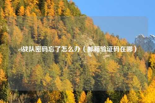 cf战队密码忘了怎么办(邮箱验证码在哪)