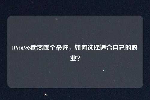 DNF65SS武器哪个最好,如何选择适合自己的职业?