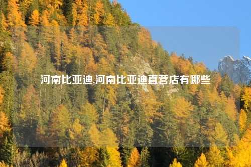 河南比亚迪,河南比亚迪直营店有哪些