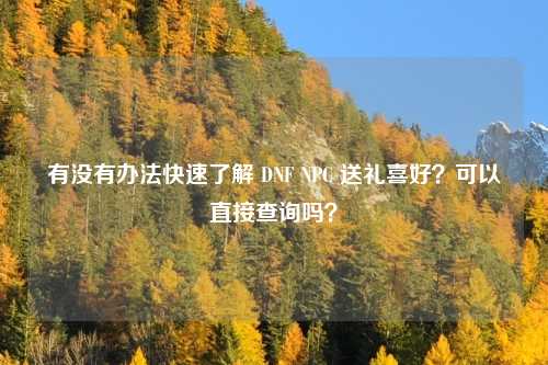 有没有办法快速了解 DNF NPC 送礼喜好?可以直接查询吗?
