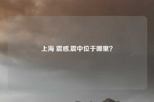 上海 震感,震中位于哪里？