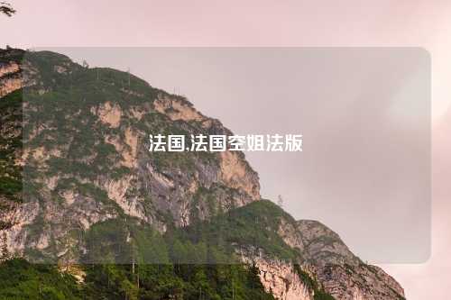 法国,法国空姐法版