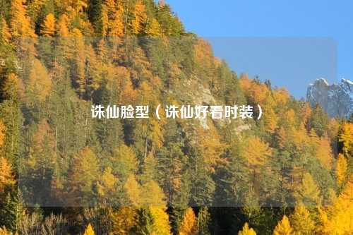 诛仙脸型(诛仙好看时装)