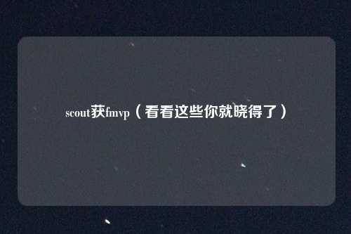 scout获fmvp(看看这些你就晓得了)