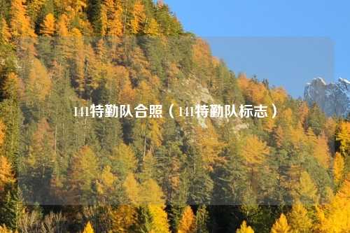 141特勤队合照(141特勤队标志)