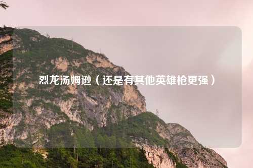 烈龙汤姆逊(还是有其他英雄枪更强)