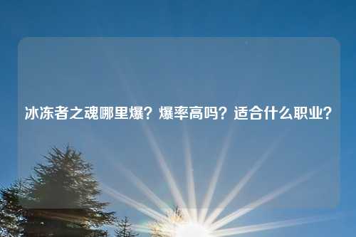 冰冻者之魂哪里爆?爆率高吗?适合什么职业?