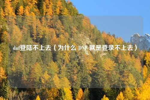 dnf登陆不上去（为什么 DNF 就是登录不上去）